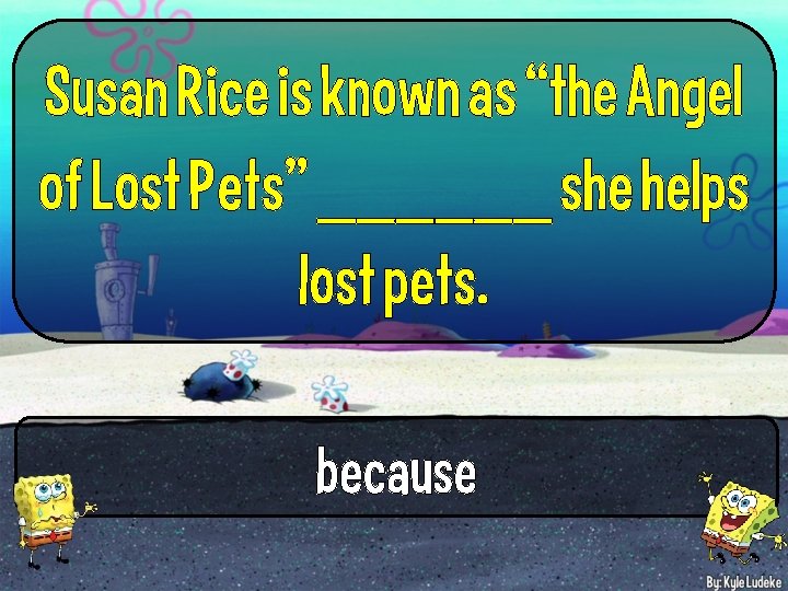 Susan Rice is known as “the Angel of Lost Pets” ______ she helps lost