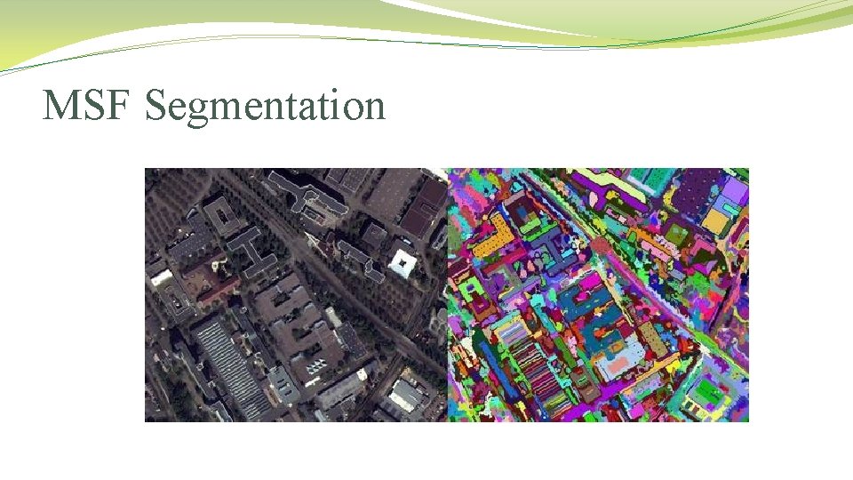 MSF Segmentation MSF Segmentation