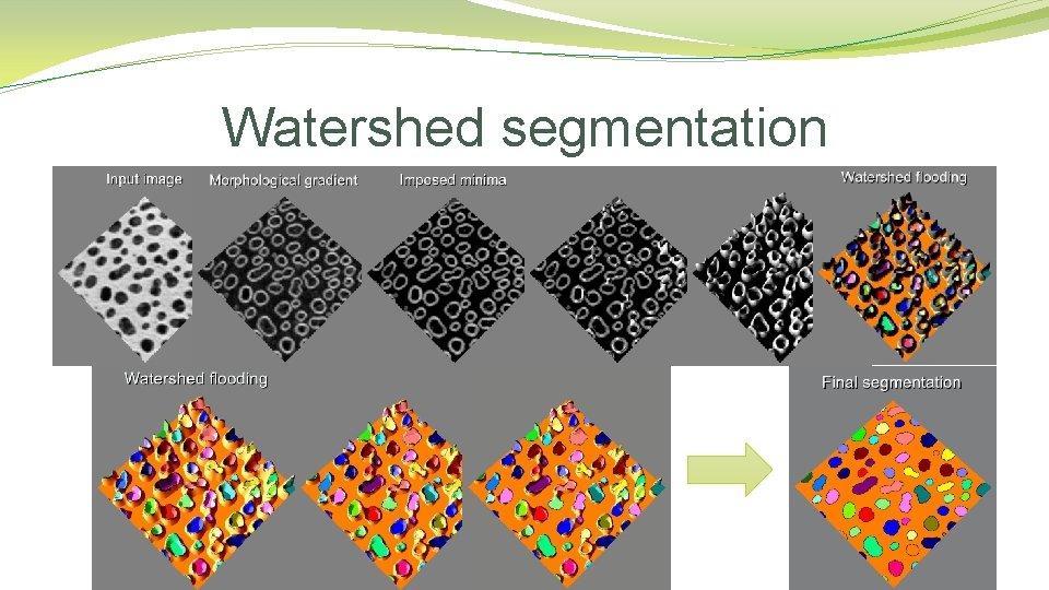 Watershed segmentation Watershed segmentation