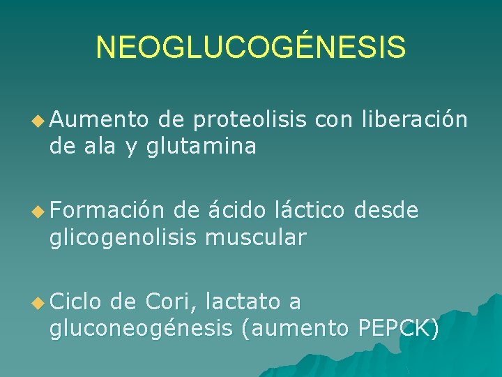 NEOGLUCOGÉNESIS u Aumento de proteolisis con liberación de ala y glutamina u Formación de