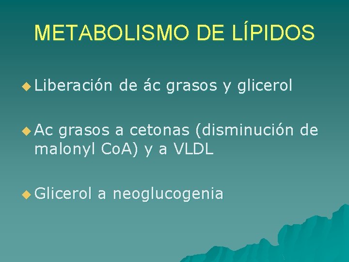 METABOLISMO DE LÍPIDOS u Liberación de ác grasos y glicerol u Ac grasos a