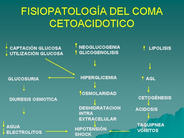 FISIOPATOLOGÍA DEL COMA CETOACIDOTICO CAPTACIÓN GLUCOSA UTILIZACIÓN GLUCOSA GLUCOSURIA NEOGLUCOGENIA GLICOGENOLISIS HIPERGLICEMIA OSMOLARIDAD DIURESIS