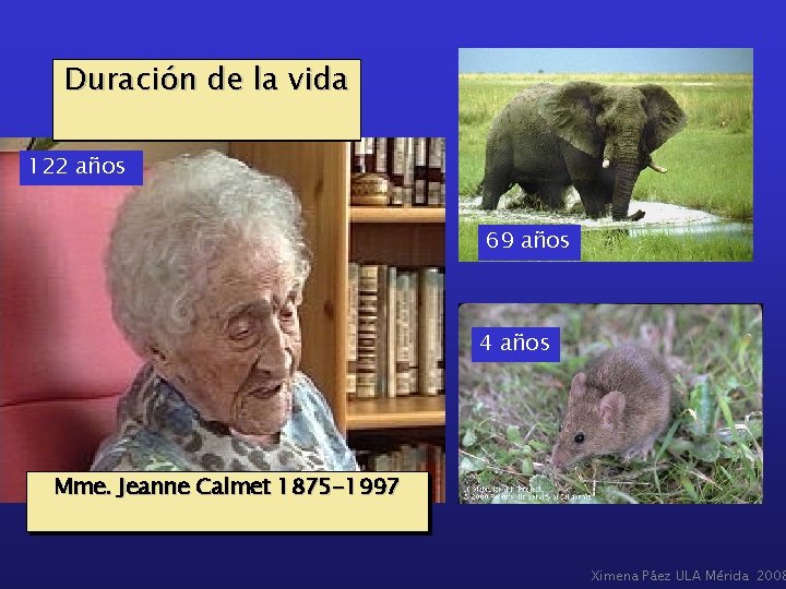 Duración de la vida 122 años 69 años 4 años Mme. Jeanne Calmet 1875