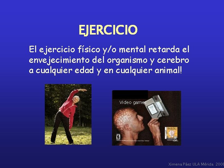 EJERCICIO El ejercicio físico y/o mental retarda el envejecimiento del organismo y cerebro a