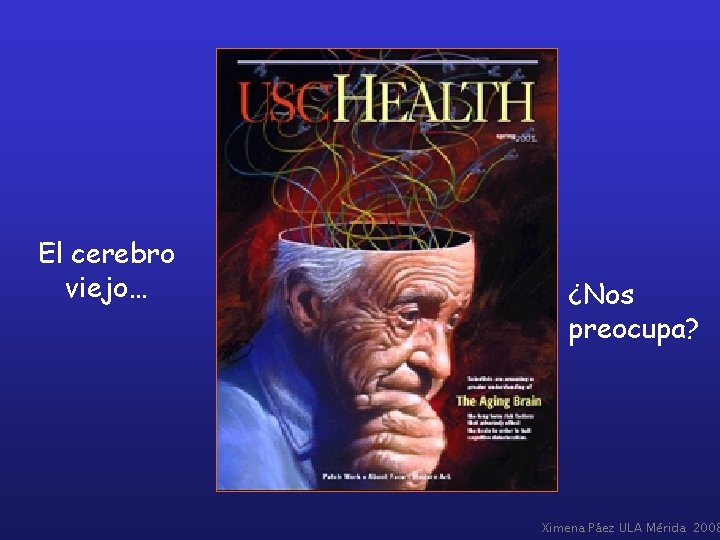El cerebro viejo… ¿Nos preocupa? Ximena Páez ULA Mérida 2008 