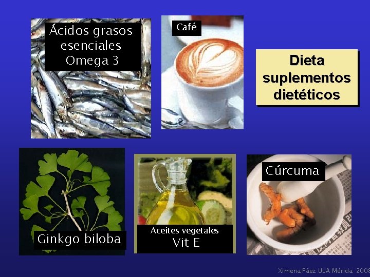 Ácidos grasos esenciales Omega 3 Café Dieta suplementos dietéticos Cúrcuma Ginkgo biloba Aceites vegetales