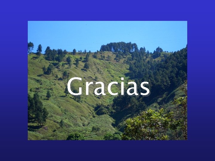 Gracias 