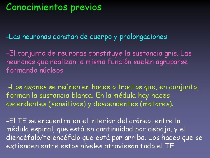 Conocimientos previos -Las neuronas constan de cuerpo y prolongaciones -El conjunto de neuronas constituye