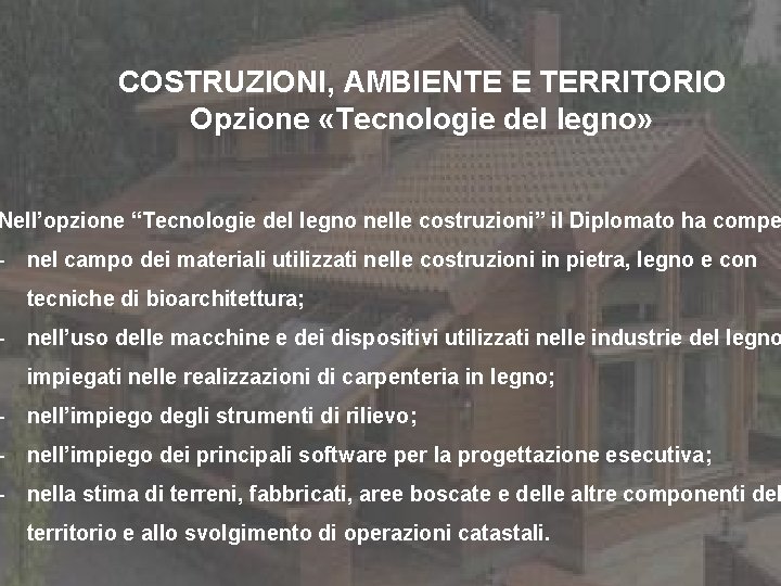 COSTRUZIONI, AMBIENTE E TERRITORIO Opzione «Tecnologie del legno» Nell’opzione “Tecnologie del legno nelle costruzioni”