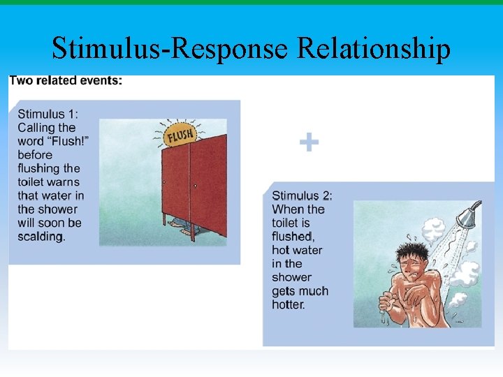 Stimulus-Response Relationship 
