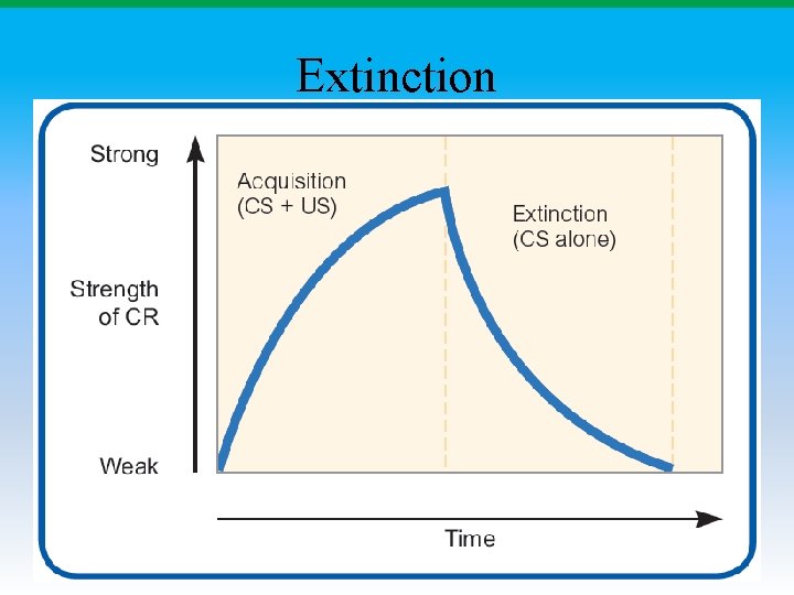 Extinction 