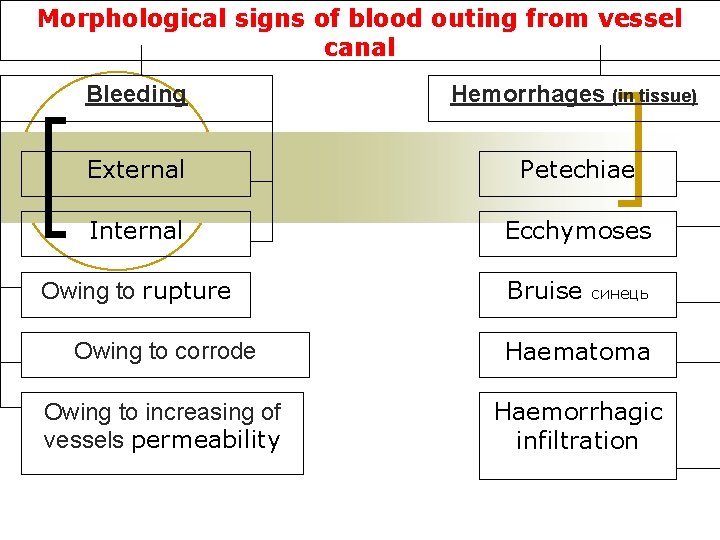 Morphological signs of blood outing from vessel canal Bleeding Hemorrhages (in tissue) External Petechiae