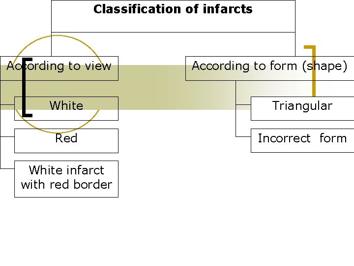 Classification of infarcts According to view According to form (shape) White Triangular Red Incorrect