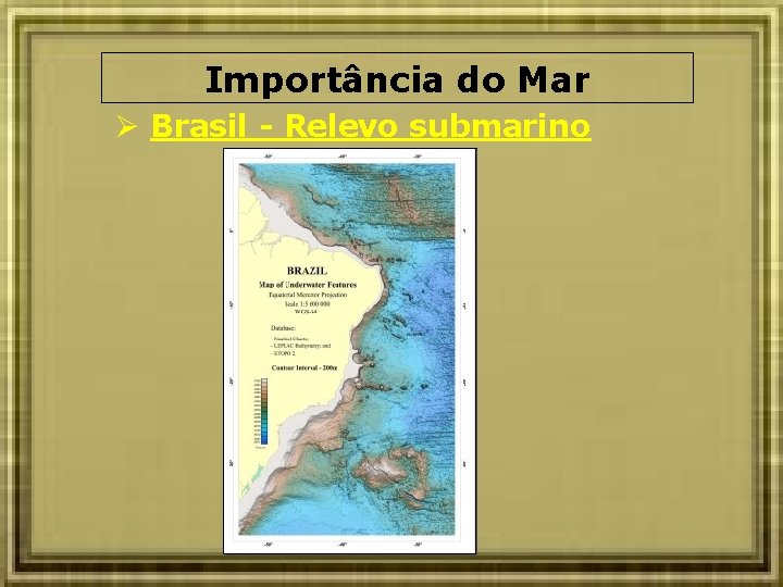 Importância do Mar Brasil - Relevo submarino 