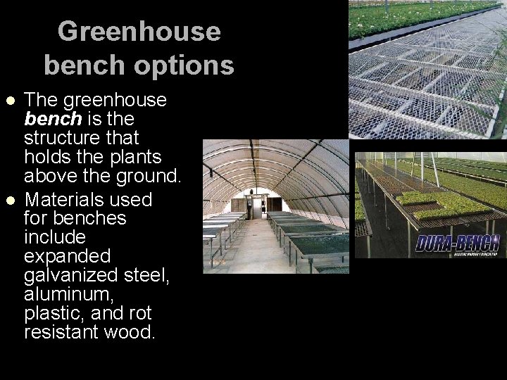 Greenhouse bench options l l The greenhouse bench is the structure that holds the