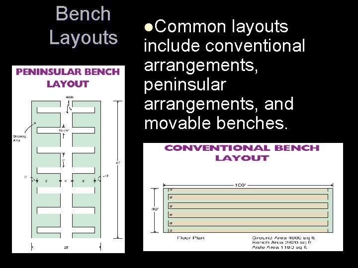 Bench Layouts l. Common layouts include conventional arrangements, peninsular arrangements, and movable benches. 