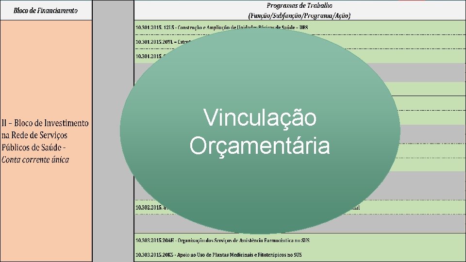 Vinculação Orçamentária 