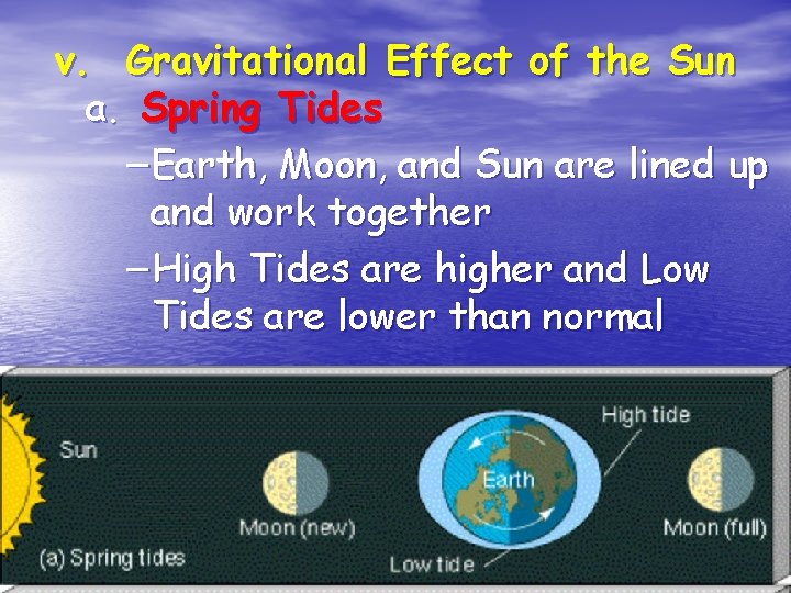 v. Gravitational Effect of the Sun a. Spring Tides – Earth, Moon, and Sun