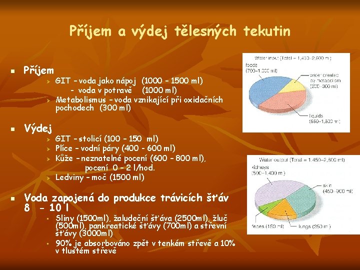 Příjem a výdej tělesných tekutin n Příjem Ø Ø n Výdej Ø Ø n