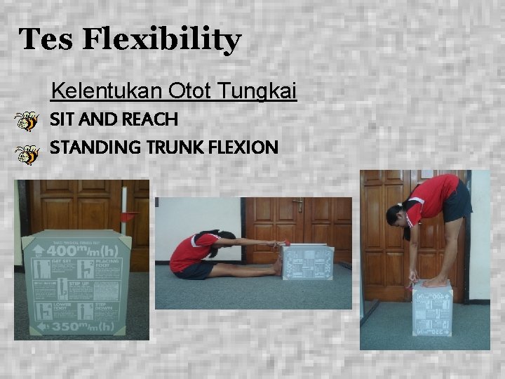 Tes Flexibility Kelentukan Otot Tungkai SIT AND REACH STANDING TRUNK FLEXION 