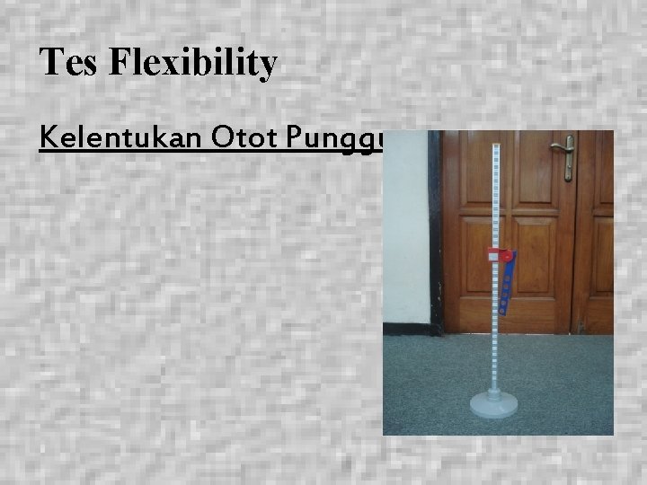 Tes Flexibility Kelentukan Otot Punggung 