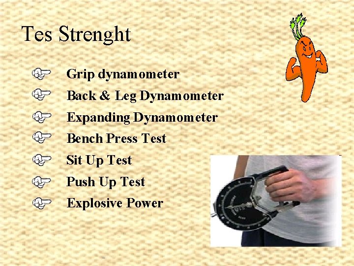 Tes Strenght Grip dynamometer Back & Leg Dynamometer Expanding Dynamometer Bench Press Test Sit