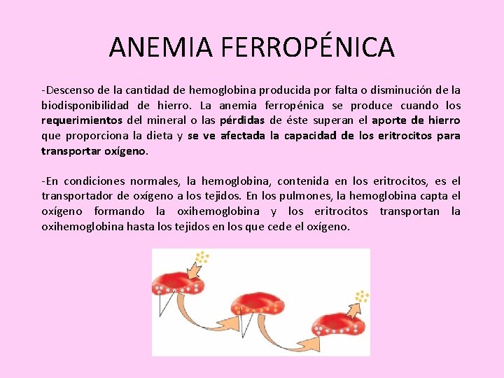 ANEMIA FERROPÉNICA -Descenso de la cantidad de hemoglobina producida por falta o disminución de