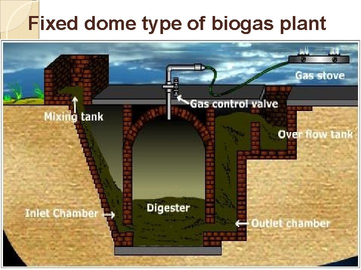 Fixed dome type of biogas plant 