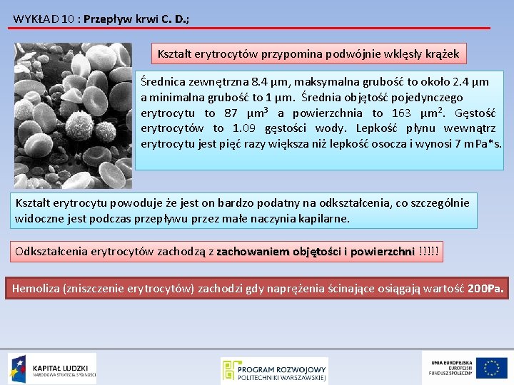 WYKŁAD 10 : Przepływ krwi C. D. ; Kształt erytrocytów przypomina podwójnie wklęsły krążek