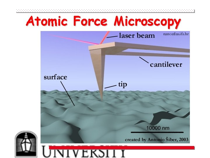 Atomic Force Microscopy 