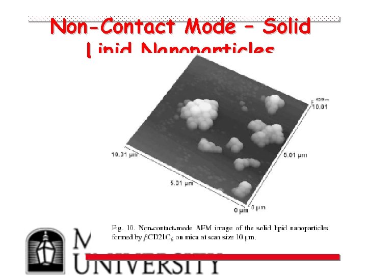 Non-Contact Mode – Solid Lipid Nanoparticles 