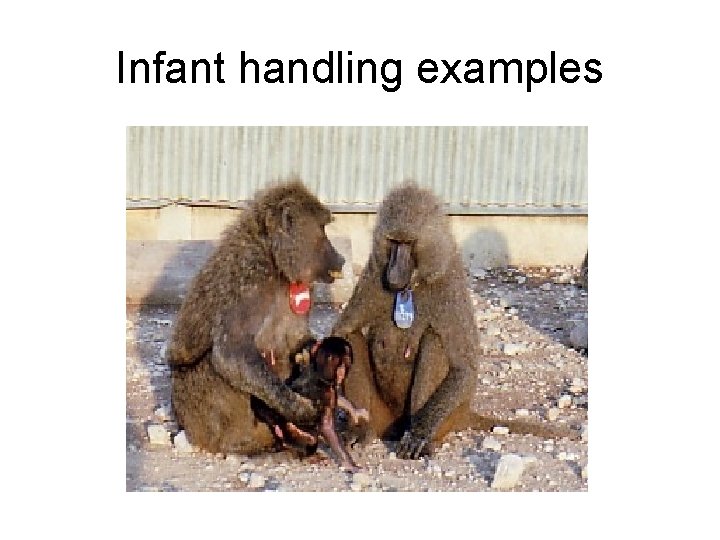 Infant handling examples 