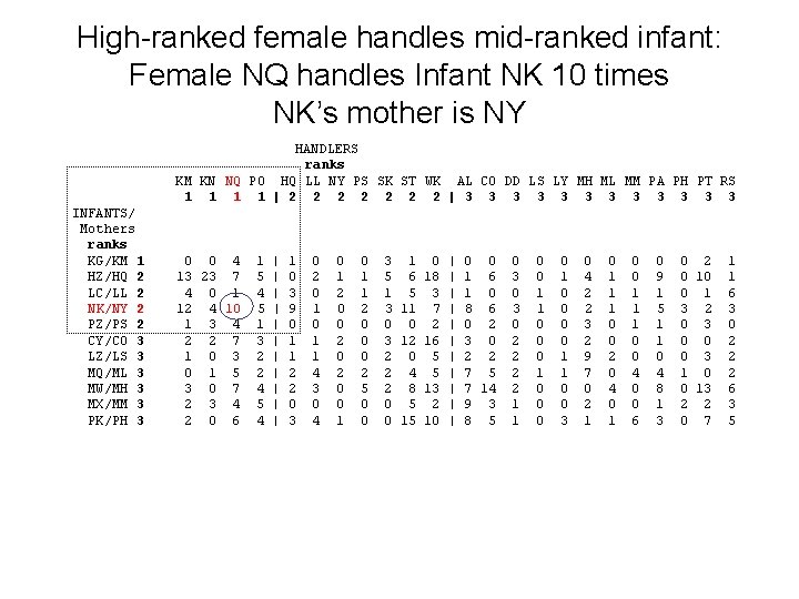 High-ranked female handles mid-ranked infant: Female NQ handles Infant NK 10 times NK’s mother