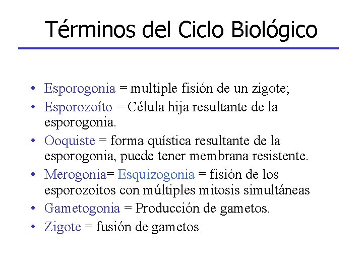 Términos del Ciclo Biológico • Esporogonia = multiple fisión de un zigote; • Esporozoíto