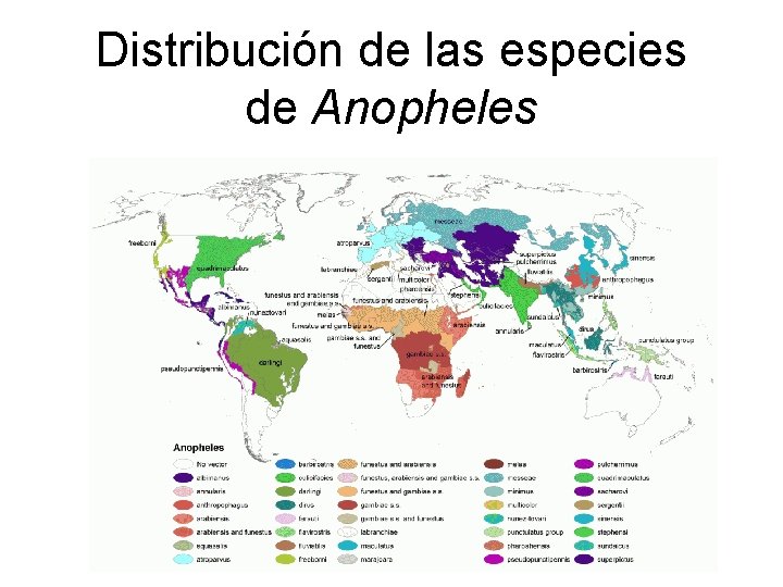 Distribución de las especies de Anopheles 