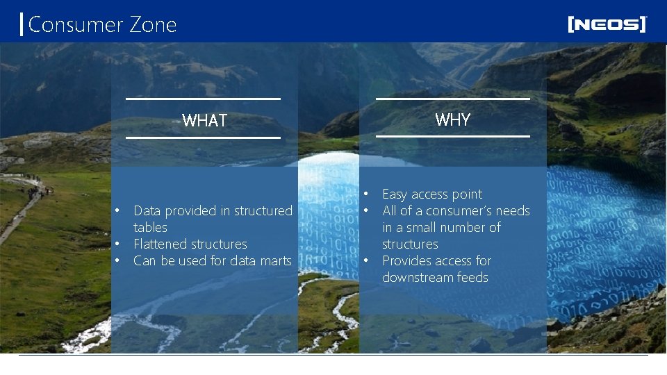 Consumer Zone WHAT • Data provided in structured tables • Flattened structures • Can