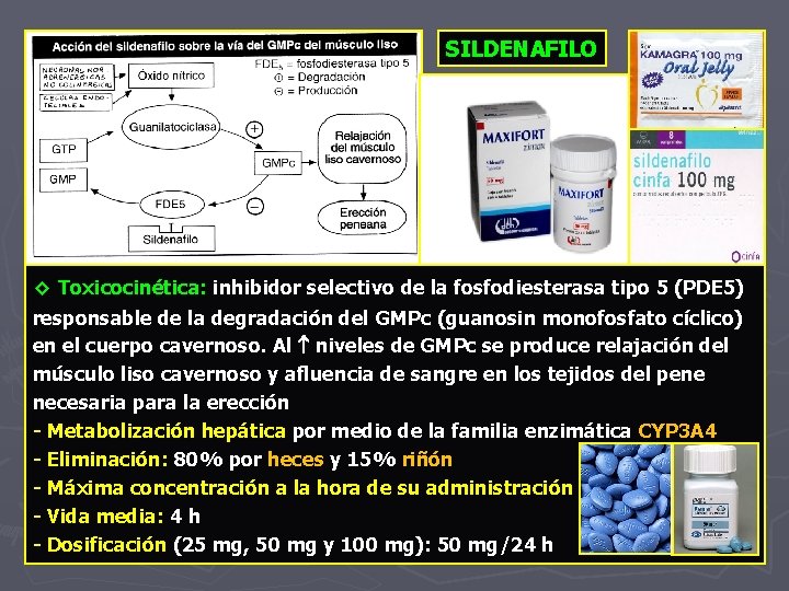 SILDENAFILO ◊ Toxicocinética: inhibidor selectivo de la fosfodiesterasa tipo 5 (PDE 5) responsable de