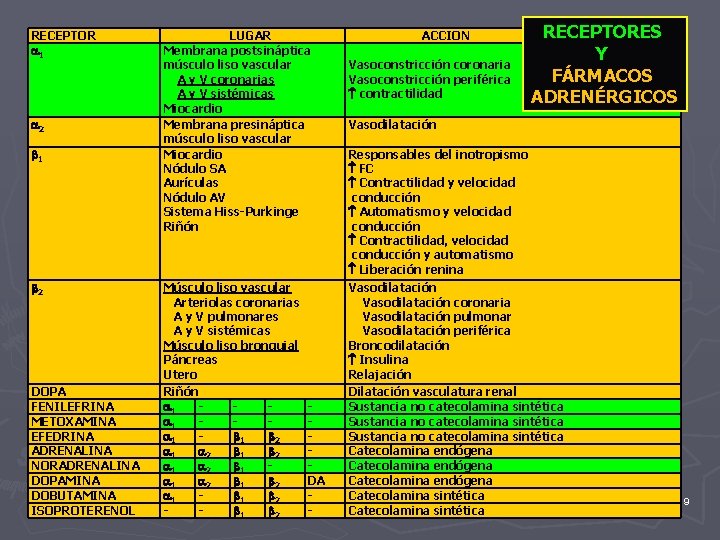 RECEPTOR 1 2 DOPA FENILEFRINA METOXAMINA EFEDRINA ADRENALINA NORADRENALINA DOPAMINA DOBUTAMINA ISOPROTERENOL RECEPTORES Y