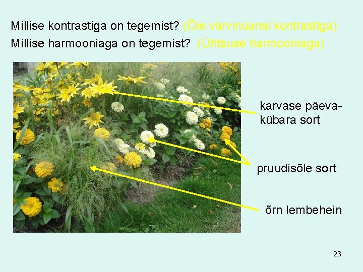 Millise kontrastiga on tegemist? (Õie värvinüansi kontrastiga) Millise harmooniaga on tegemist? (Ühtsuse harmooniaga) karvase