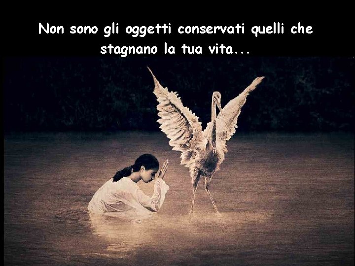 Non sono gli oggetti conservati quelli che stagnano la tua vita. . . 