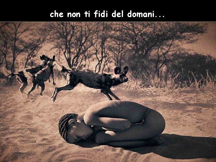 che non ti fidi del domani. . . 