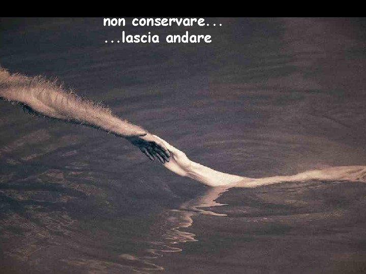 non conservare. . . lascia andare 