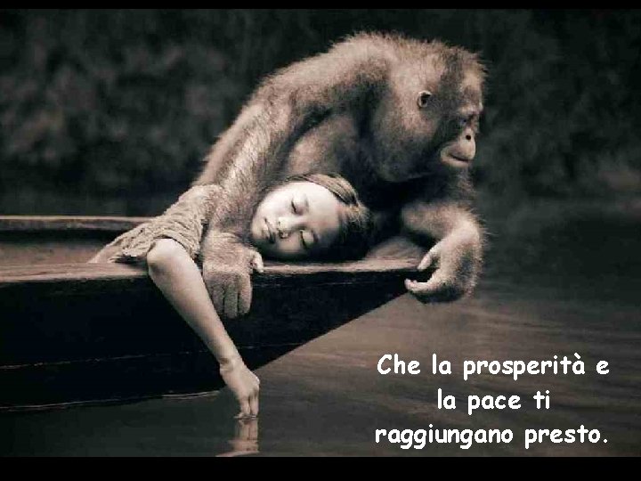 Che la prosperità e la pace ti raggiungano presto. 