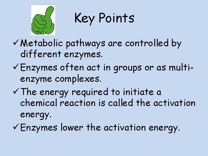 Key Points ü Metabolic pathways are controlled by different enzymes. ü Enzymes often act