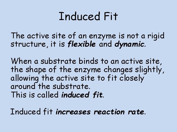 Induced Fit The active site of an enzyme is not a rigid structure, it