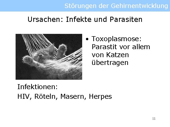 Störungen der Gehirnentwicklung Ursachen: Infekte und Parasiten • Toxoplasmose: Parastit vor allem von Katzen