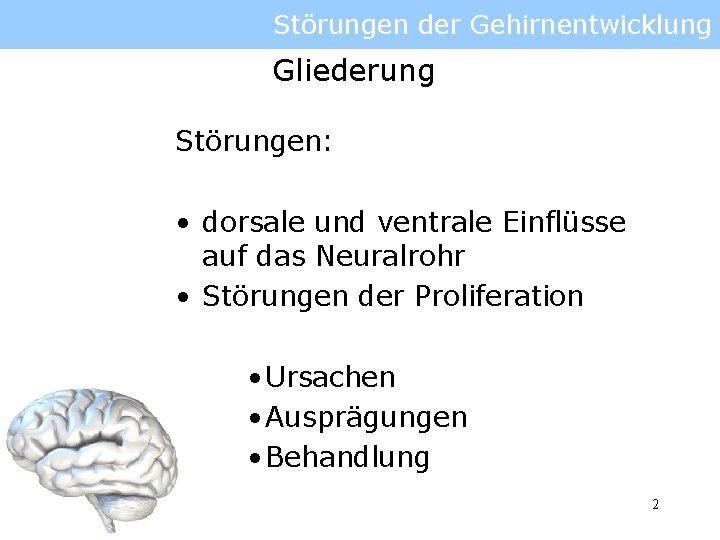 Störungen der Gehirnentwicklung Gliederung Störungen: • dorsale und ventrale Einflüsse auf das Neuralrohr •