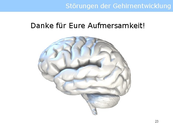 Störungen der Gehirnentwicklung Danke für Eure Aufmersamkeit! 23 