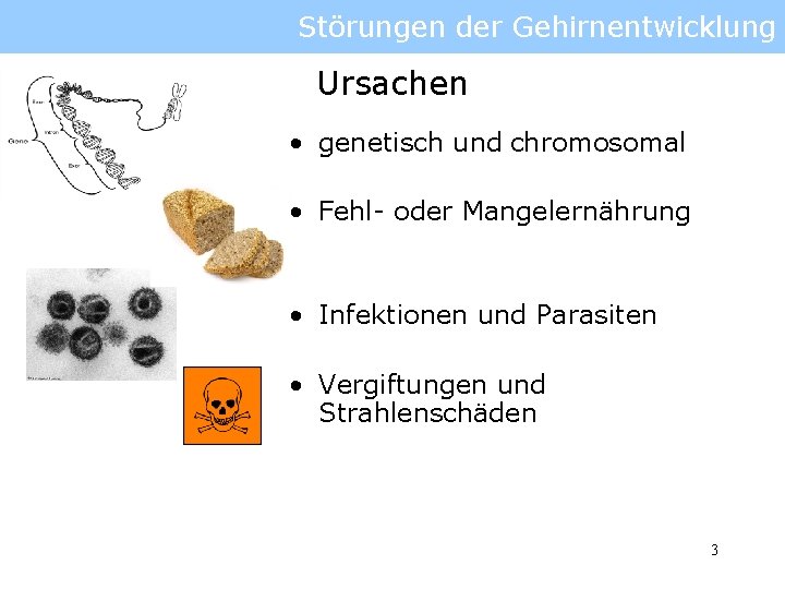 Störungen der Gehirnentwicklung Ursachen • genetisch und chromosomal • Fehl- oder Mangelernährung • Infektionen