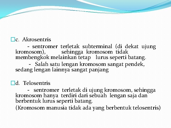 �c. Akrosentris - sentromer terletak subterminal (di dekat ujung kromosom), sehingga kromosom tidak membengkok